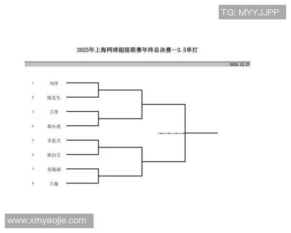 上海网球队展现实力最新网球灵活性TOP10榜单揭晓